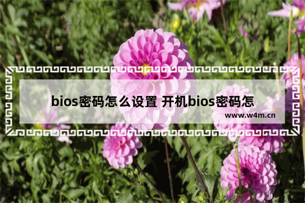 bios密码怎么设置 开机bios密码怎么设置