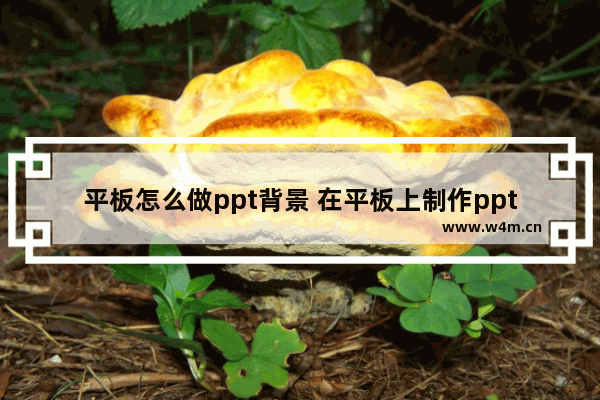 平板怎么做ppt背景 在平板上制作ppt教程