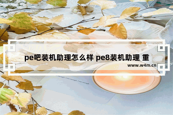 pe吧装机助理怎么样 pe8装机助理 重启第二阶段