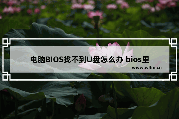 电脑BIOS找不到U盘怎么办 bios里面找不到u盘