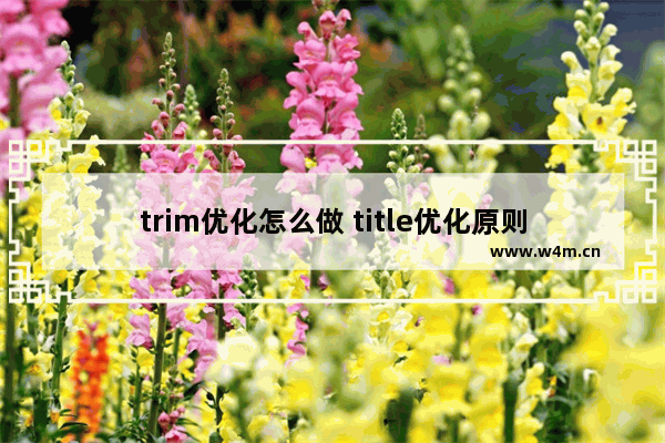 trim优化怎么做 title优化原则