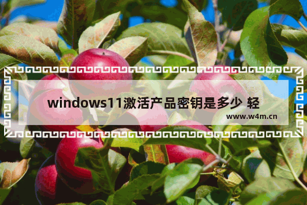 windows11激活产品密钥是多少 轻松找到Windows 11的产品密钥