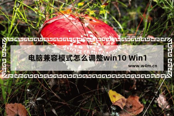 电脑兼容模式怎么调整win10 Win10兼容性设置详细