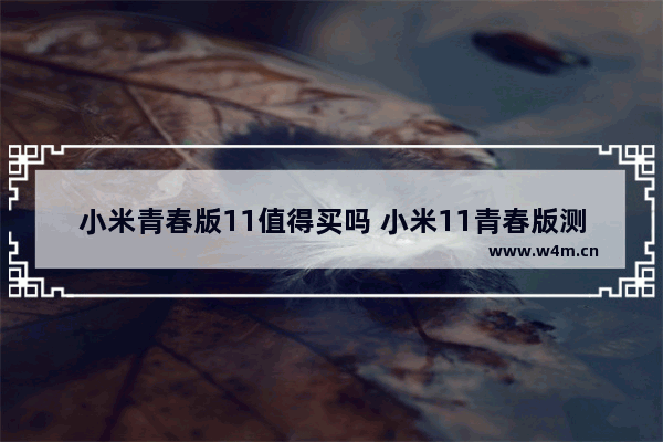 小米青春版11值得买吗 小米11青春版测评