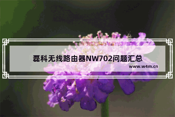 磊科无线路由器NW702问题汇总