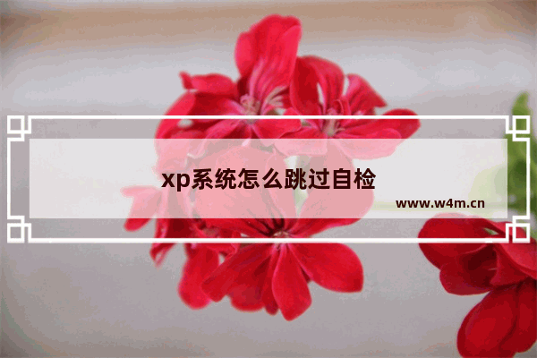 xp系统怎么跳过自检