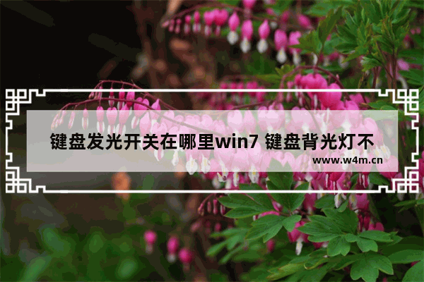 键盘发光开关在哪里win7 键盘背光灯不亮了解决方法