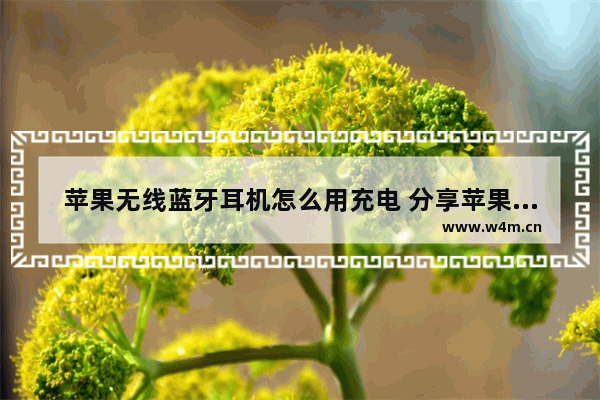 苹果无线蓝牙耳机怎么用充电 分享苹果无线耳机使用方法