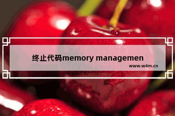 终止代码memory management 蓝屏提示memory management解决方法