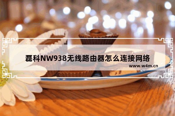 磊科NW938无线路由器怎么连接网络