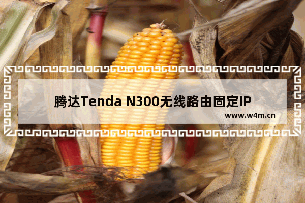 腾达Tenda N300无线路由固定IP地址的上网如何安装