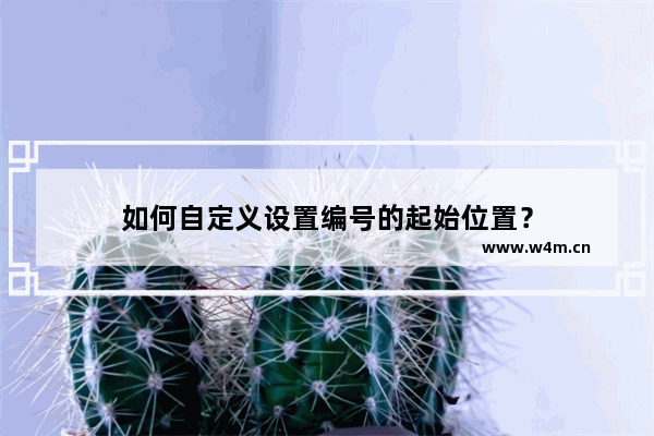 如何自定义设置编号的起始位置？