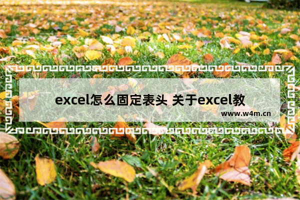 excel怎么固定表头 关于excel教程技巧大全