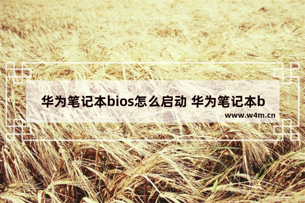 华为笔记本bios怎么启动 华为笔记本bios启动键