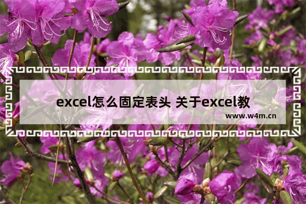 excel怎么固定表头 关于excel教程技巧大全