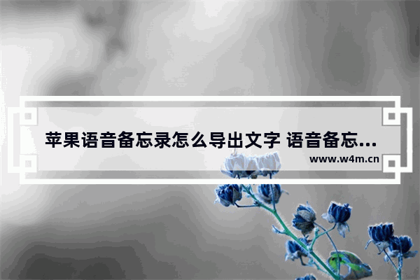 苹果语音备忘录怎么导出文字 语音备忘录删除了恢复方法