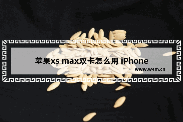 苹果xs max双卡怎么用 iPhone Xs Max双卡使用指南