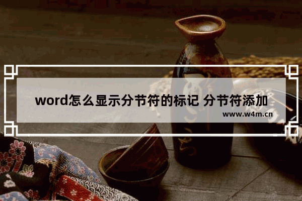 word怎么显示分节符的标记 分节符添加的方法