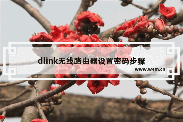 dlink无线路由器设置密码步骤