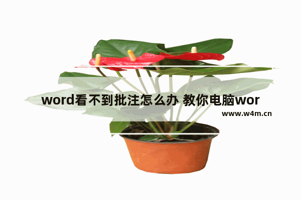 word看不到批注怎么办 教你电脑word批注添加办法