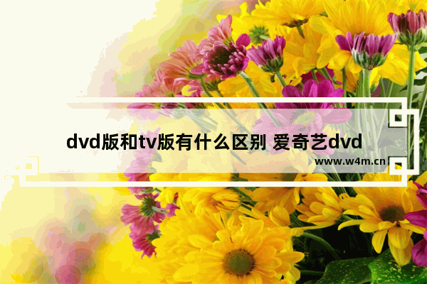 dvd版和tv版有什么区别 爱奇艺dvd版和普通版哪个好