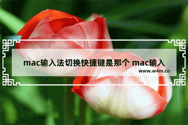 mac输入法切换快捷键是那个 mac输入法切换快捷键介绍