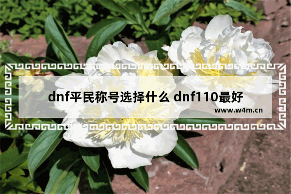 dnf平民称号选择什么 dnf110最好用的平民称号