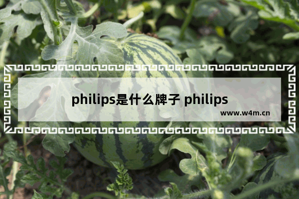 philips是什么牌子 philips怎么读