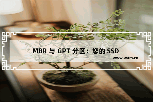 MBR 与 GPT 分区：您的 SSD 应该使用哪个？