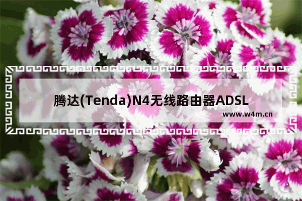 腾达(Tenda)N4无线路由器ADSL拨号设置上网