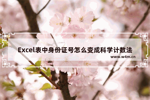 Excel表中身份证号怎么变成科学计数法了？后几位怎么变成0了？