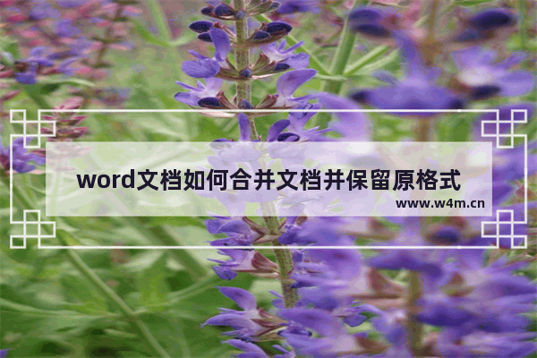 word文档如何合并文档并保留原格式