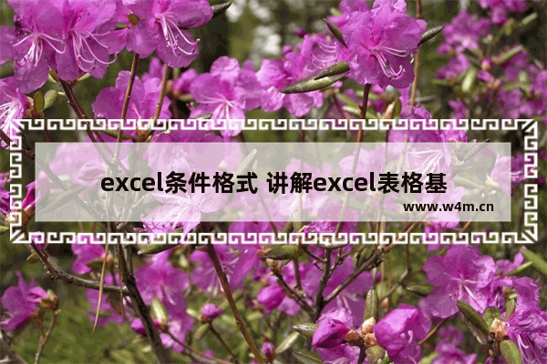 excel条件格式 讲解excel表格基础教程