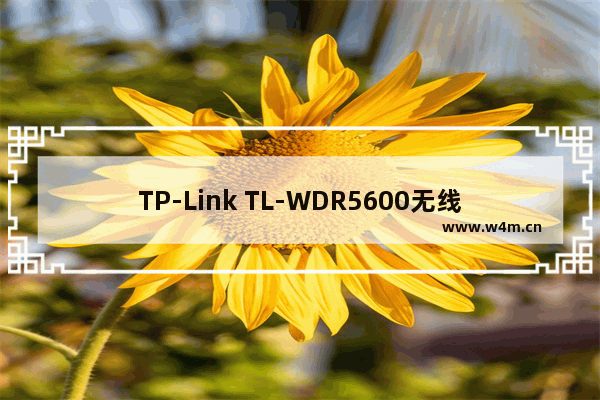 TP-Link TL-WDR5600无线路由器固定IP上网设置方法