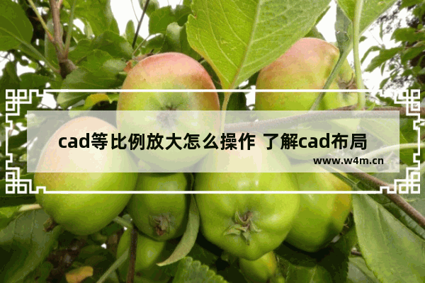 cad等比例放大怎么操作 了解cad布局作图教程