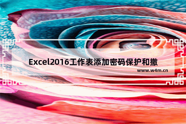 Excel2016工作表添加密码保护和撤销密码保护的操作方法