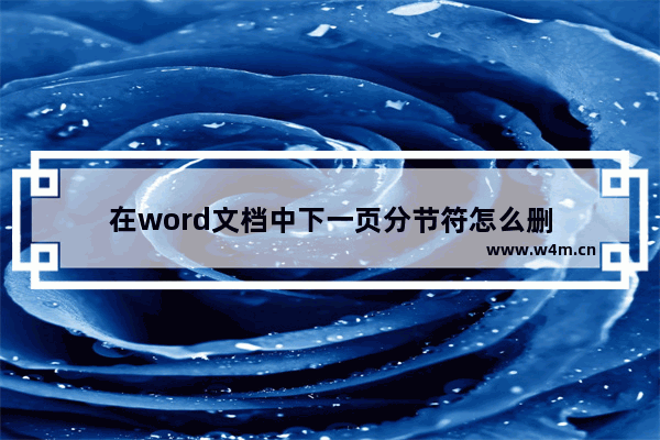 在word文档中下一页分节符怎么删