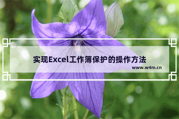 实现Excel工作簿保护的操作方法