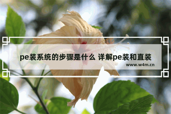 pe装系统的步骤是什么 详解pe装和直装有的区别