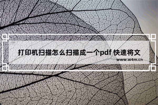 打印机扫描怎么扫描成一个pdf 快速将文件扫描成PDF教程