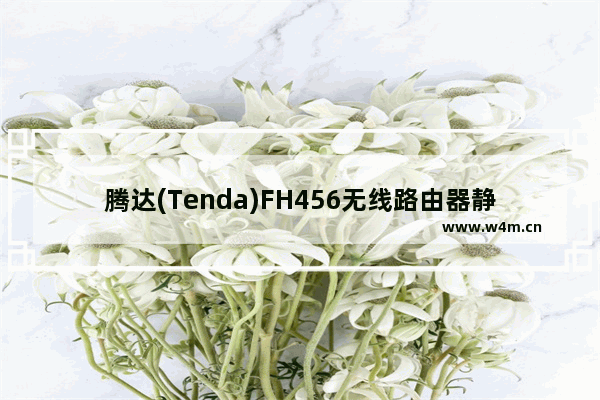 腾达(Tenda)FH456无线路由器静态IP上网设置方法