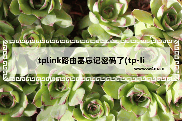 tplink路由器忘记密码了(tp-link无线路由器忘记密码怎么办)