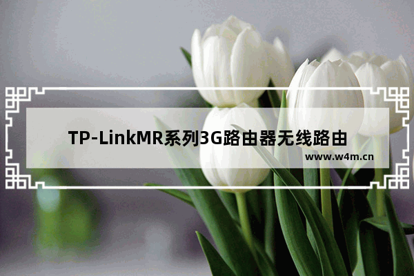 TP-LinkMR系列3G路由器无线路由模式设置上网