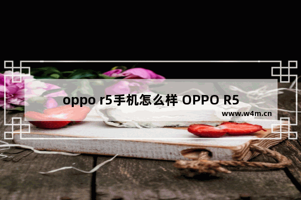 oppo r5手机怎么样 OPPO R5现场体验