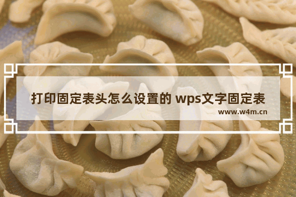 打印固定表头怎么设置的 wps文字固定表头打印方法