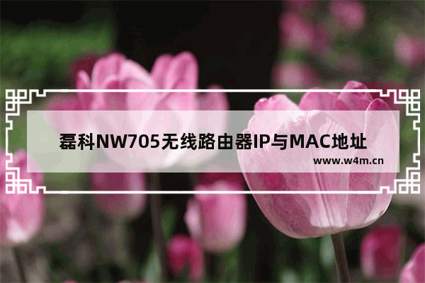 磊科NW705无线路由器IP与MAC地址绑定设置步骤