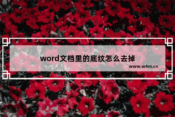 word文档里的底纹怎么去掉