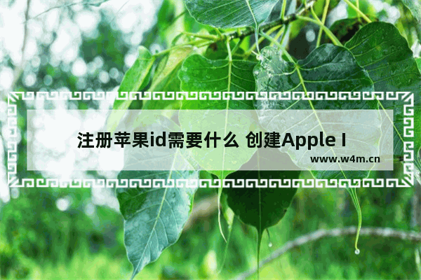 注册苹果id需要什么 创建Apple ID账号教程