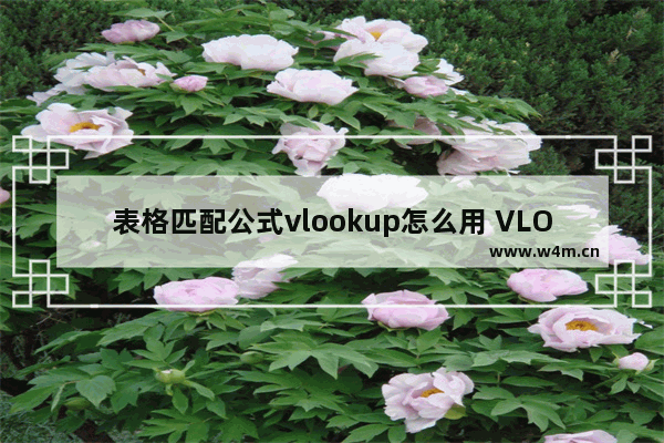 表格匹配公式vlookup怎么用 VLOOKUP函数比对表格数据