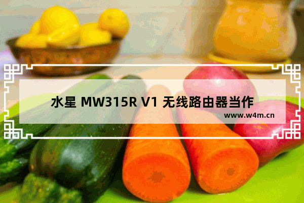 水星 MW315R V1 无线路由器当作交换机使用设置方法